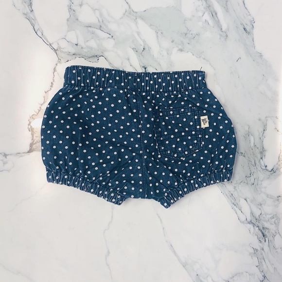 OshKosh Shorts - Picture 2 of 2